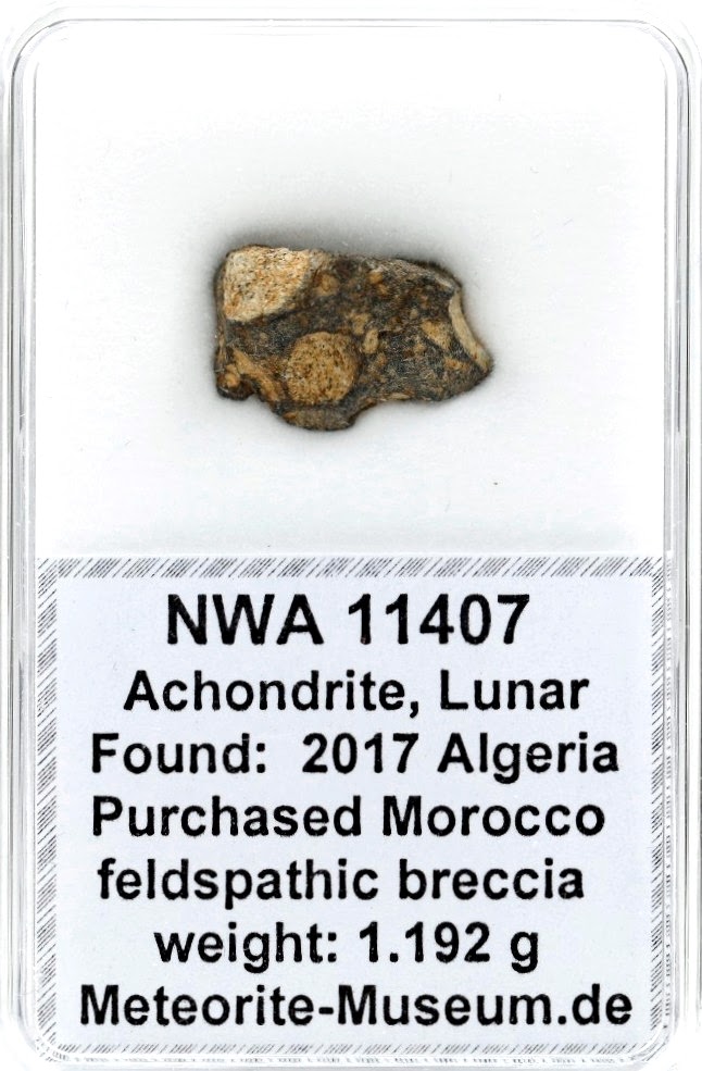 NWA 11407 Mond Meteorit - 1,192 g