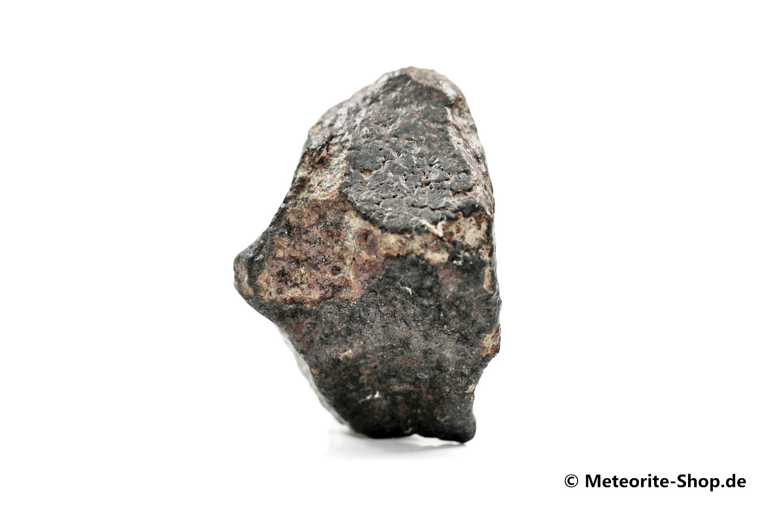 NWA Marokko Meteorit - 35,80 g