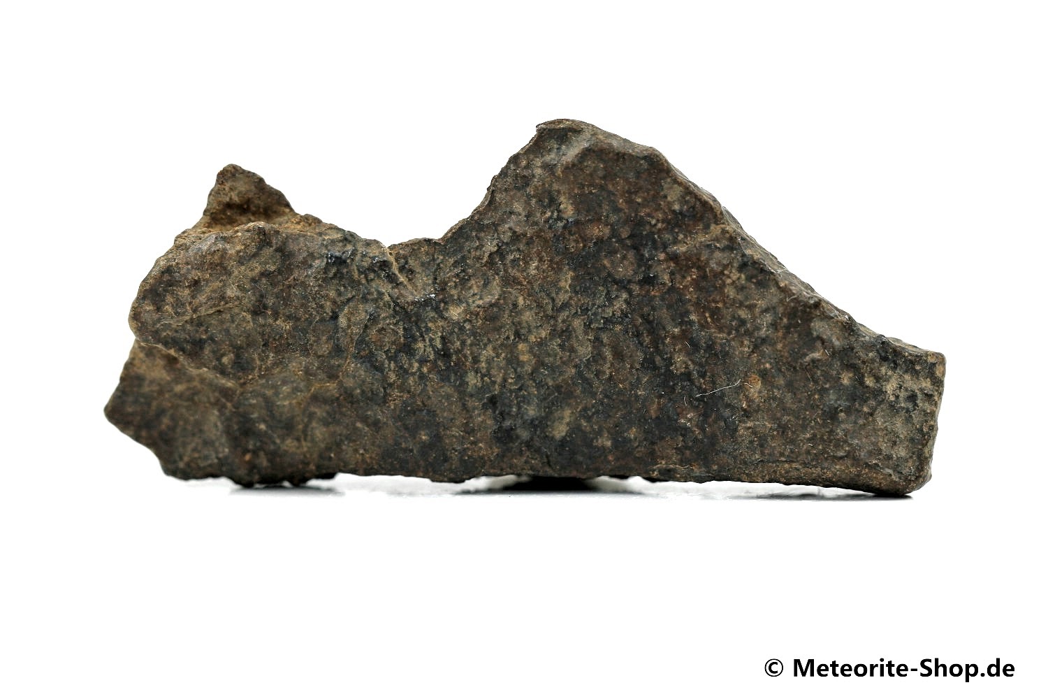 NWA Tagounite Meteorit - 17,80 g