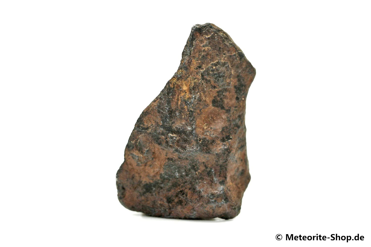 NWA 859 Meteorit - 11,60 g