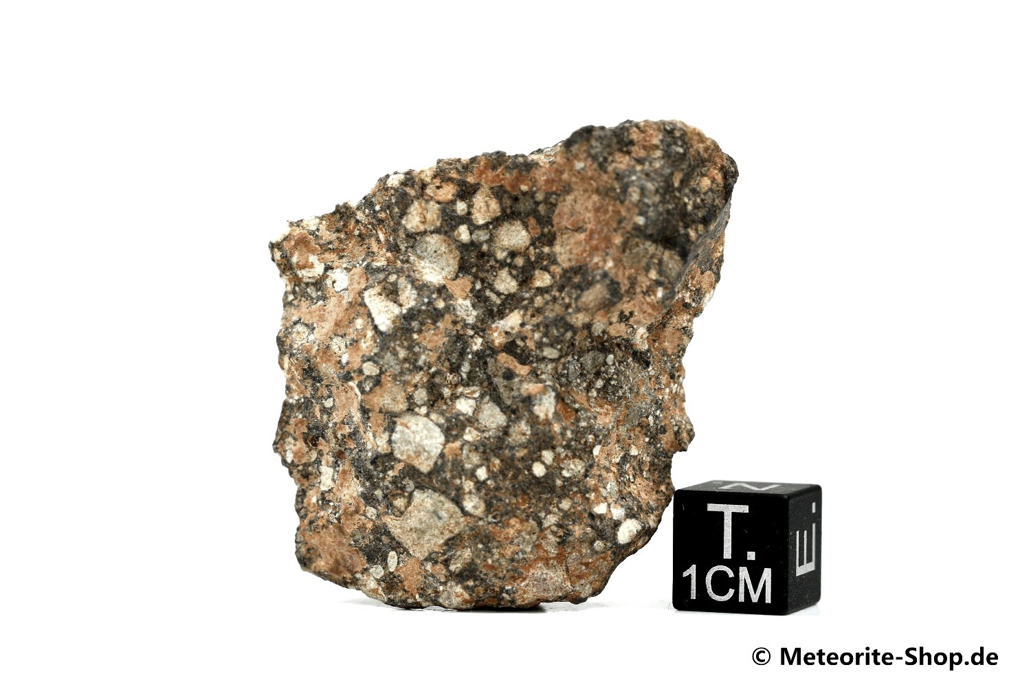 NWA 11407 Mond Meteorit - 32,85 g