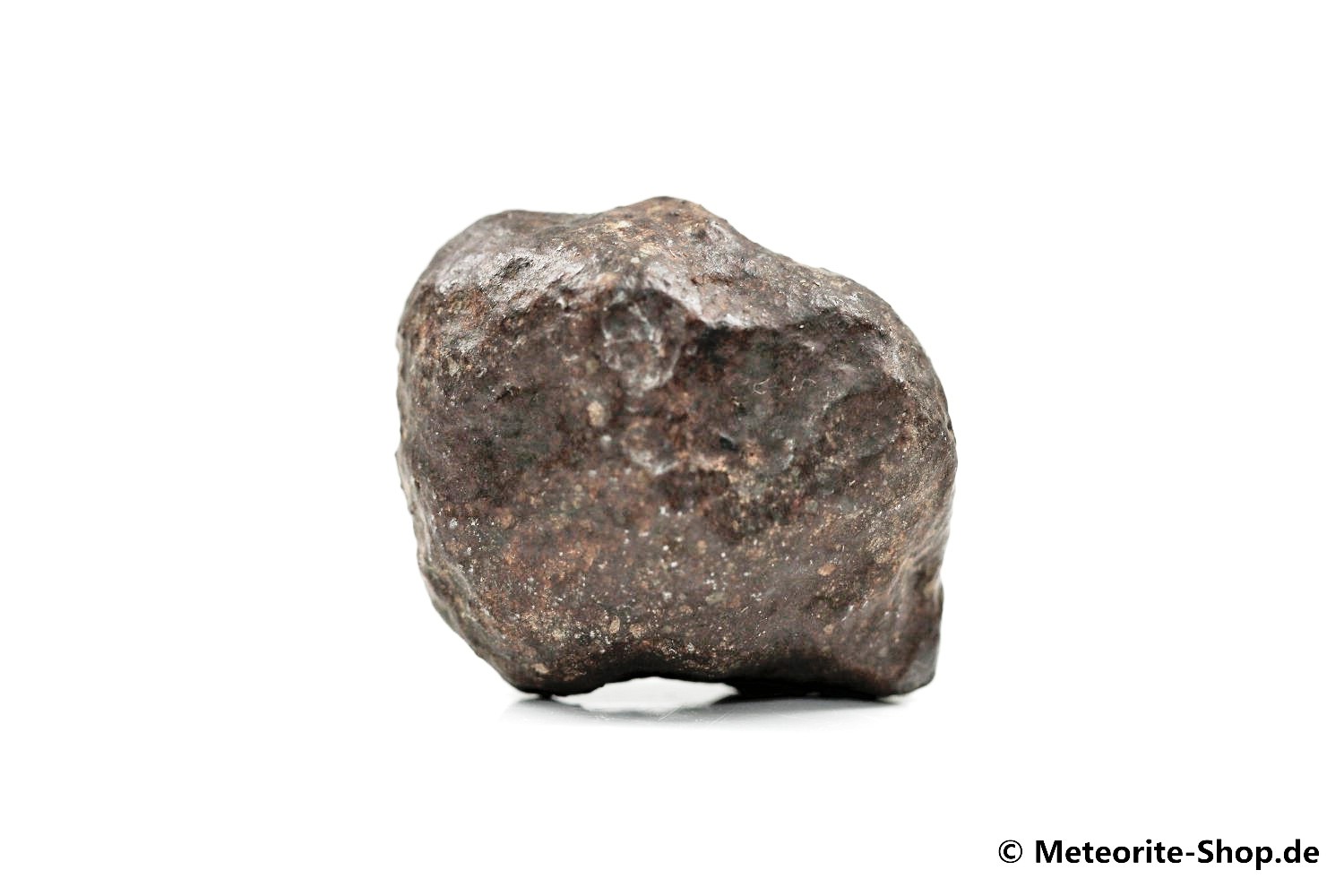 NWA Erfoud Meteorit - 31,20 g