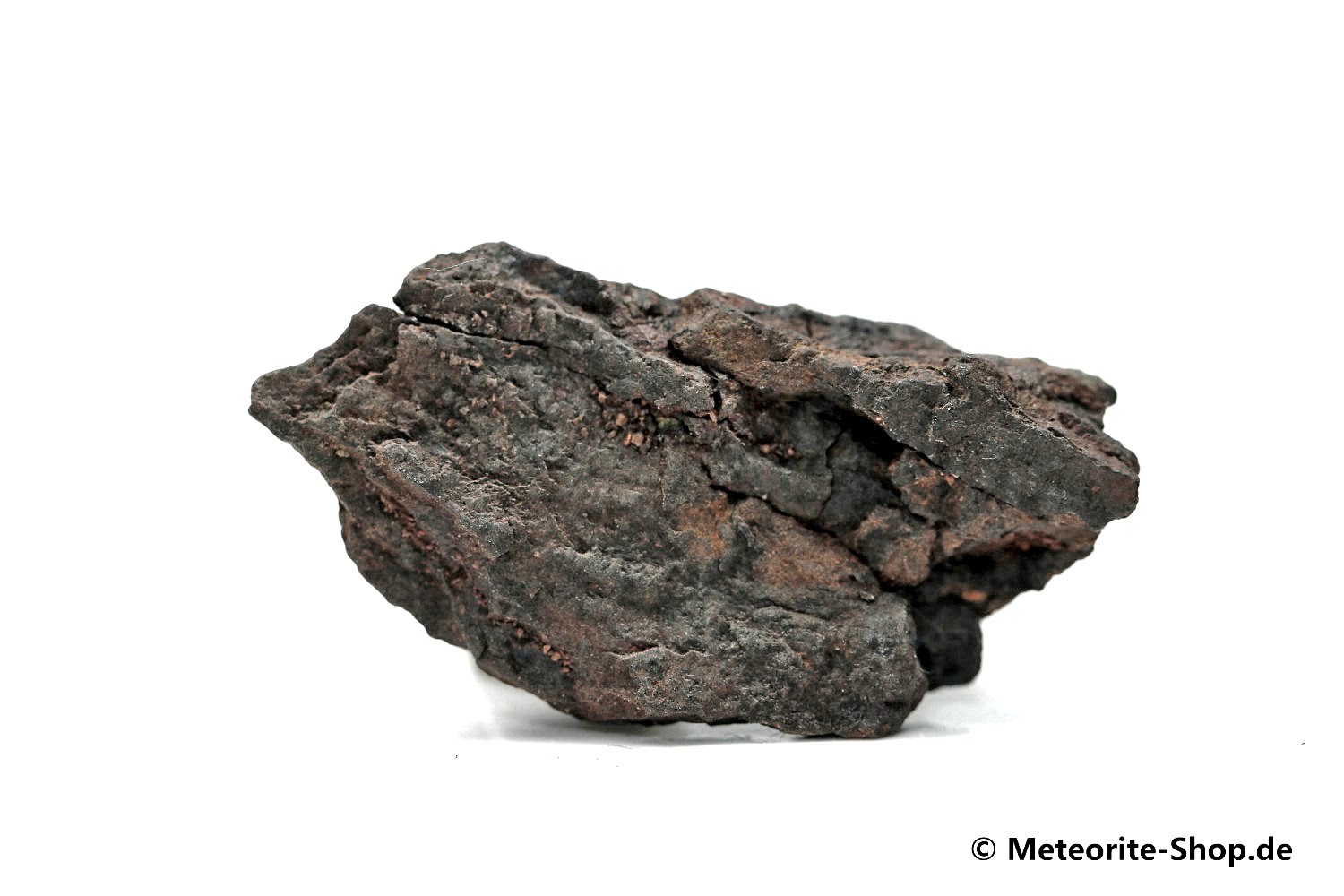 Vaca Muerta Meteorit - 13,00 g