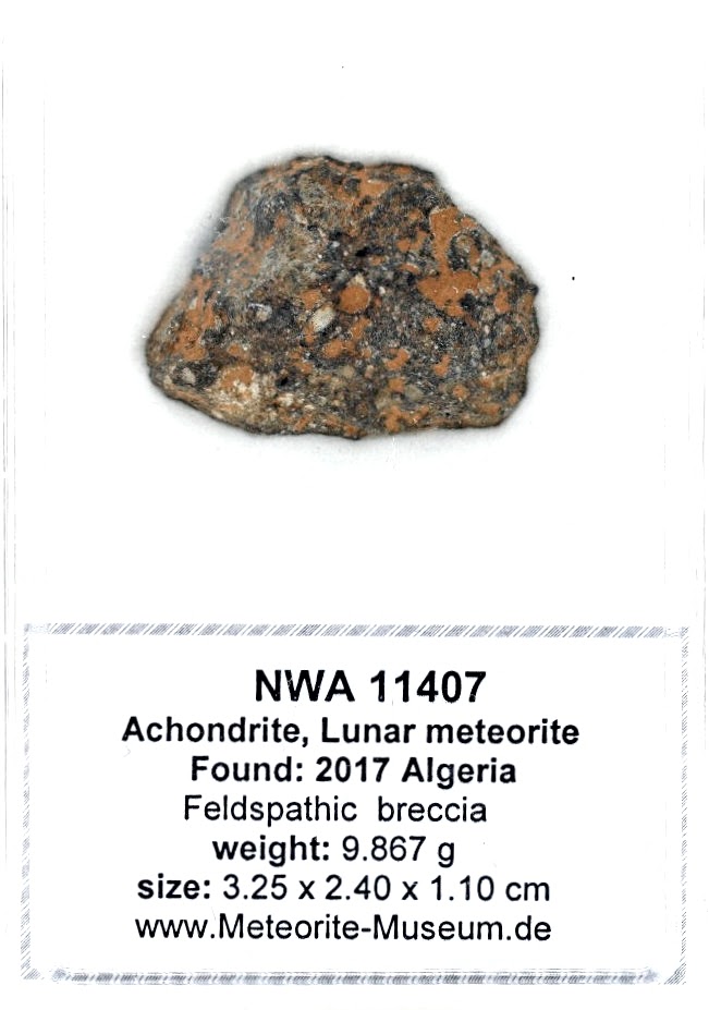 NWA 11407 Mond Meteorit - 9,867 g