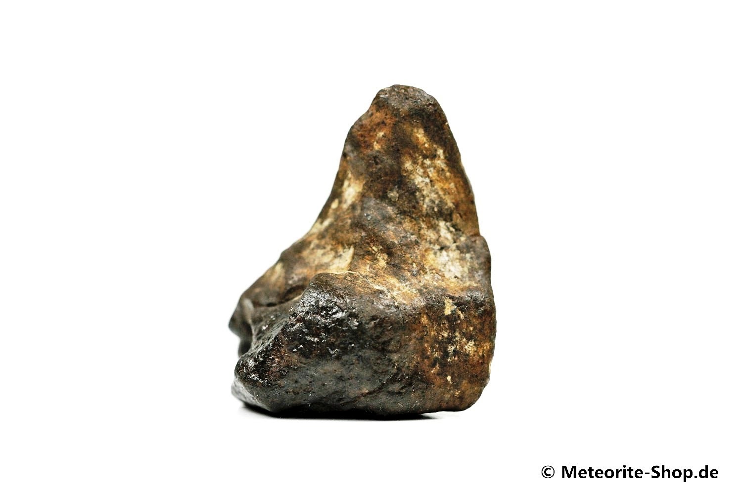 NWA Erfoud Meteorit - 24,40 g
