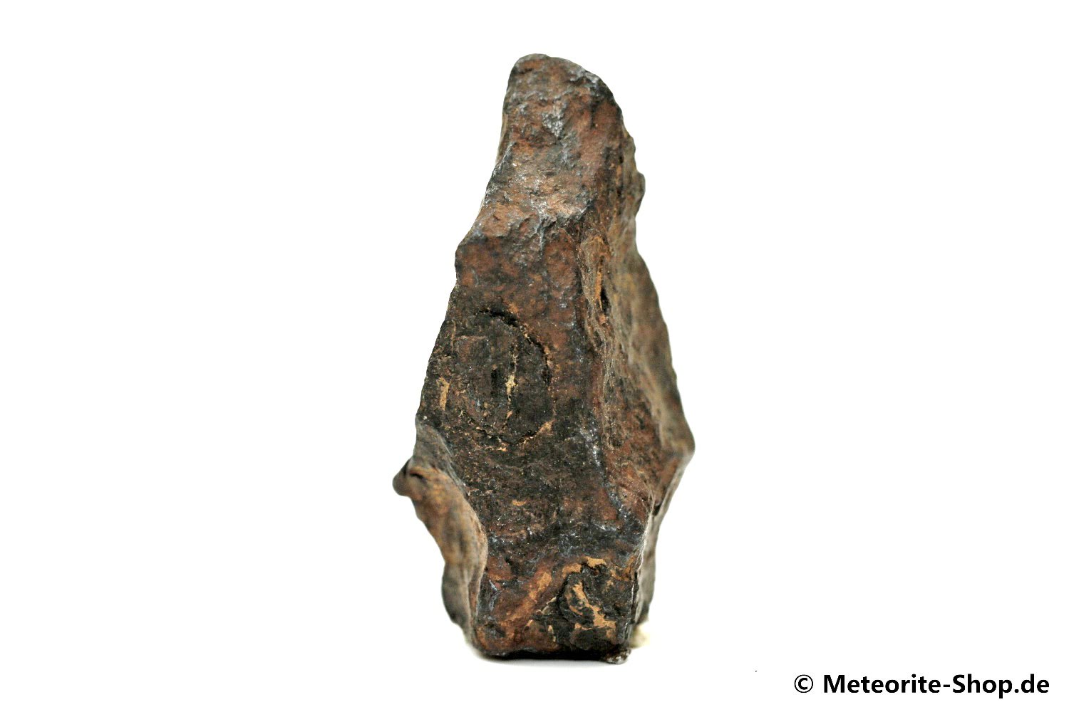 NWA 859 Meteorit - 11,90 g