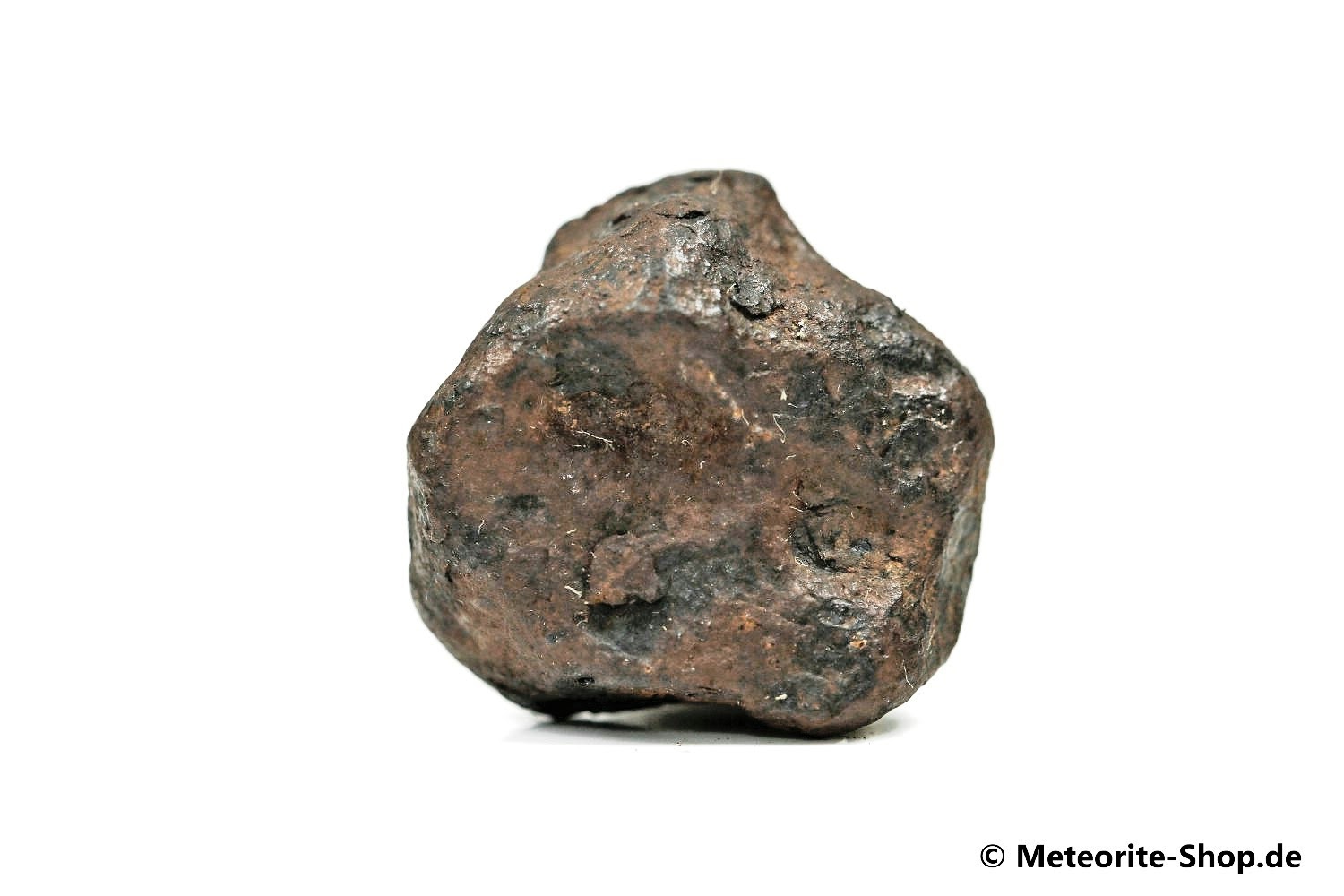 NWA 859 Meteorit - 10,80 g
