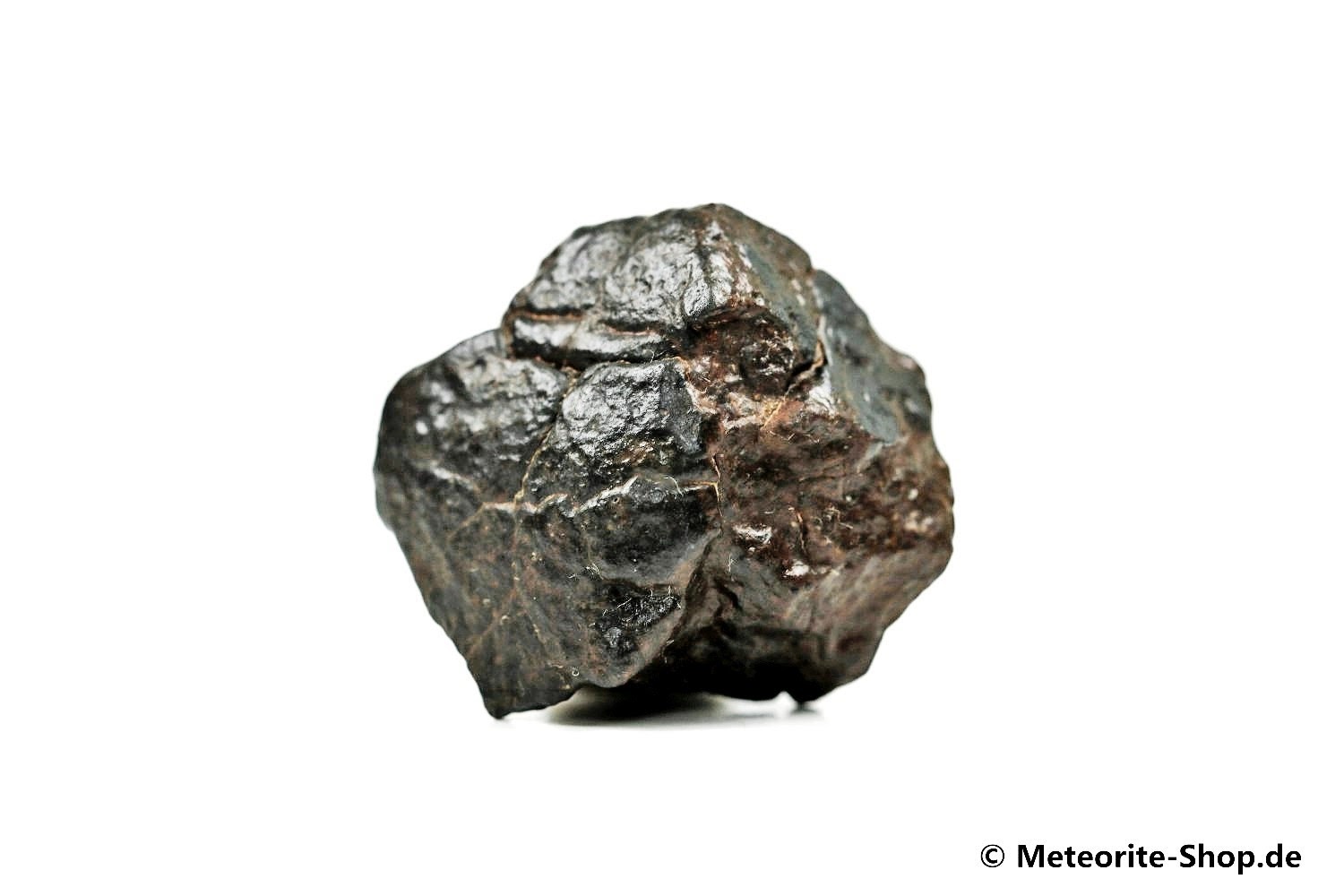 NWA Erfoud Meteorit - 15,60 g