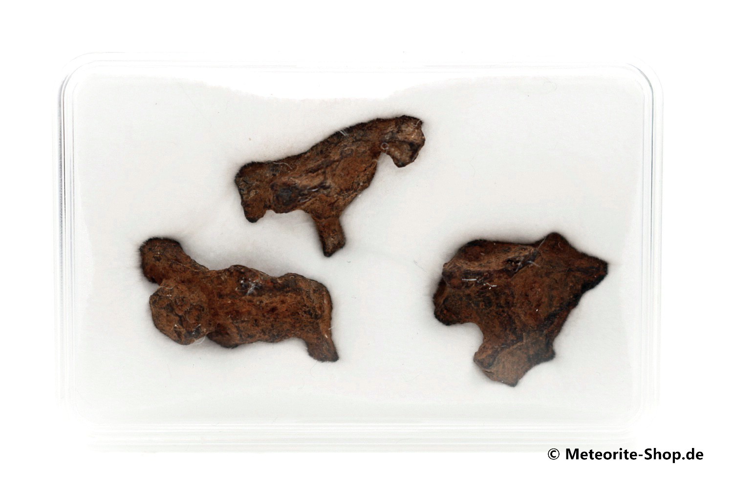 Sericho Meteorit - 6,60 g