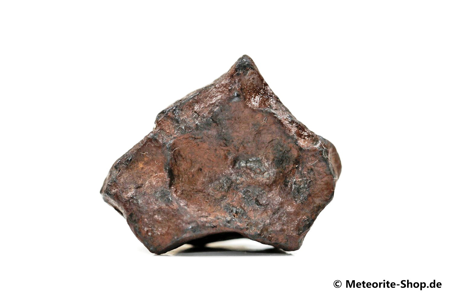 NWA 859 Meteorit - 10,70 g