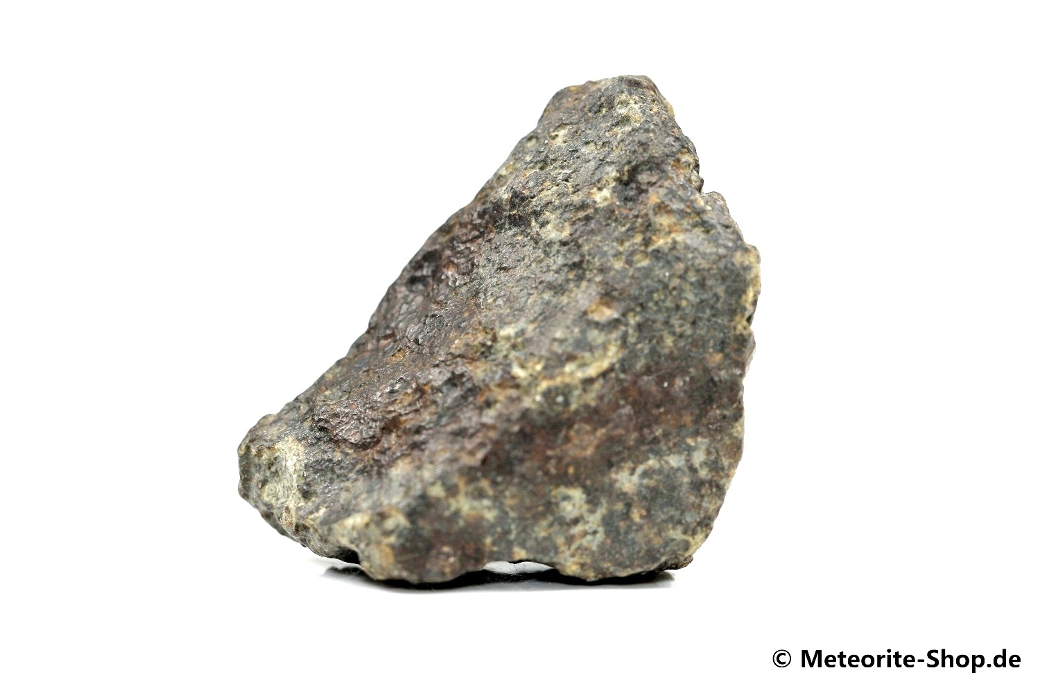 NWA 869 Meteorit - 42,30 g
