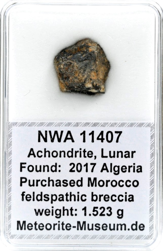 NWA 11407 Mond Meteorit - 1,523 g