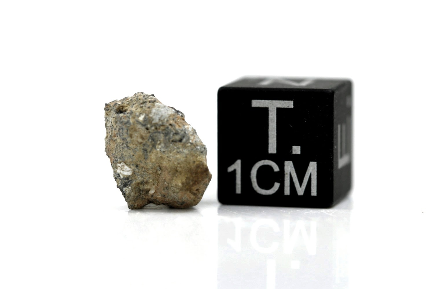 NWA 11407 Mond Meteorit - 0,455 g