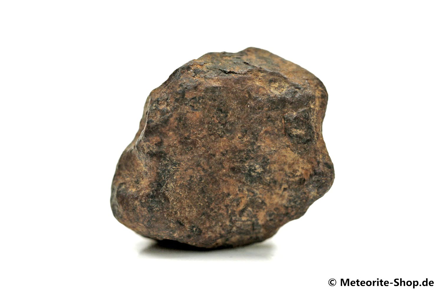 NWA 859 Meteorit - 15,10 g