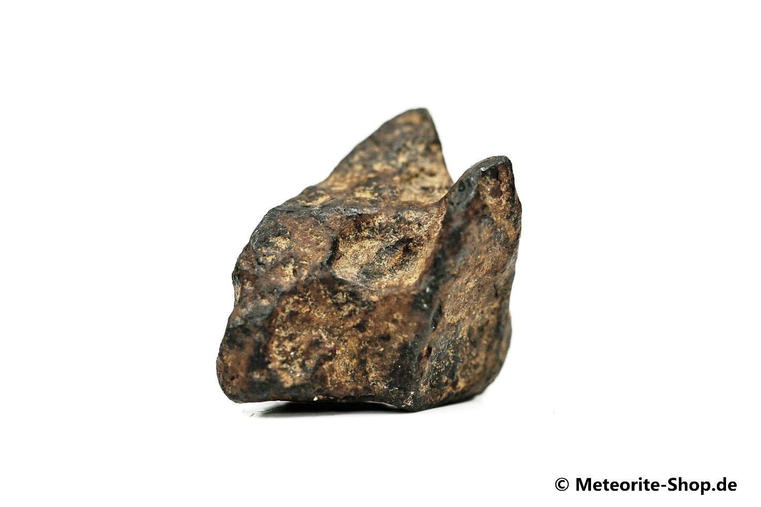 NWA 859 Meteorit - 12,50 g
