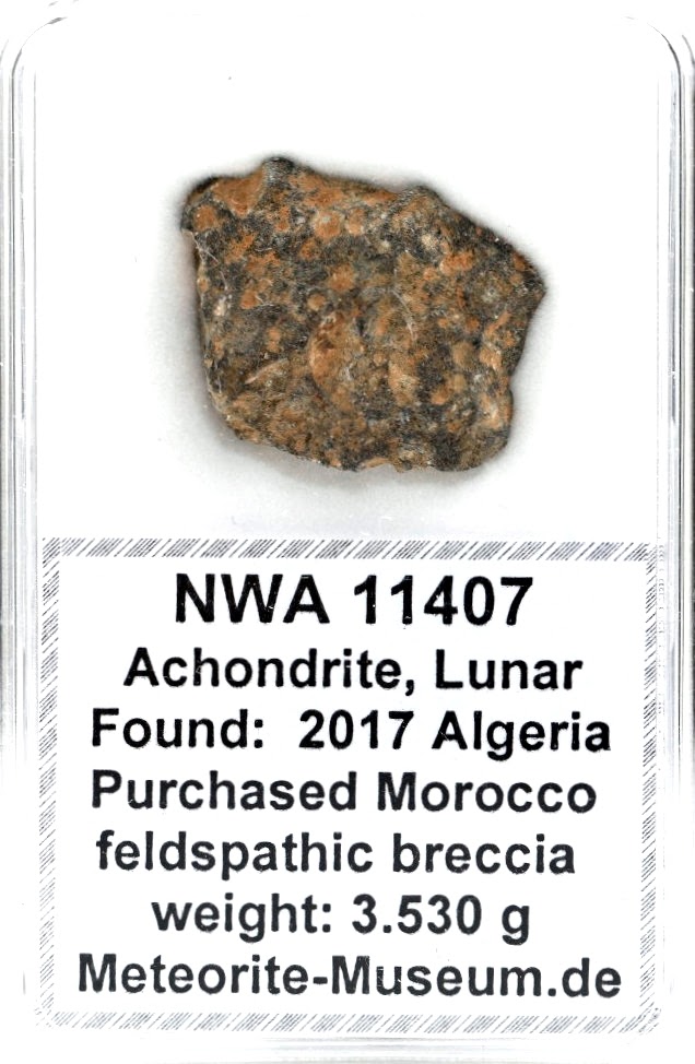 NWA 11407 Mond Meteorit - 3,530 g