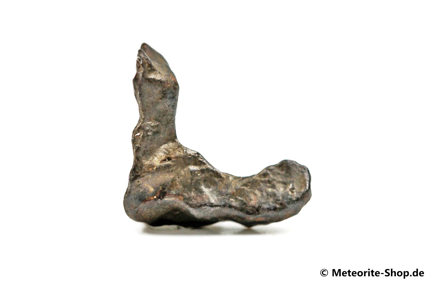 Golden Pallasite Meteorit (gepairt mit NWA 7788) - 1,05 g