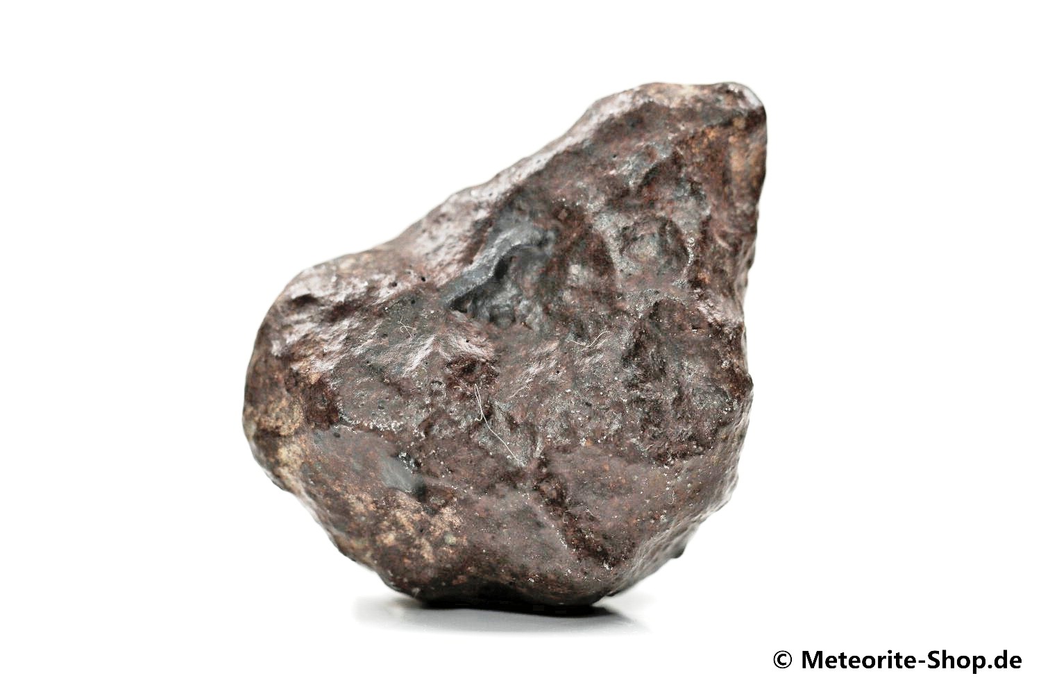 NWA Casablanca Meteorit - 49,80 g