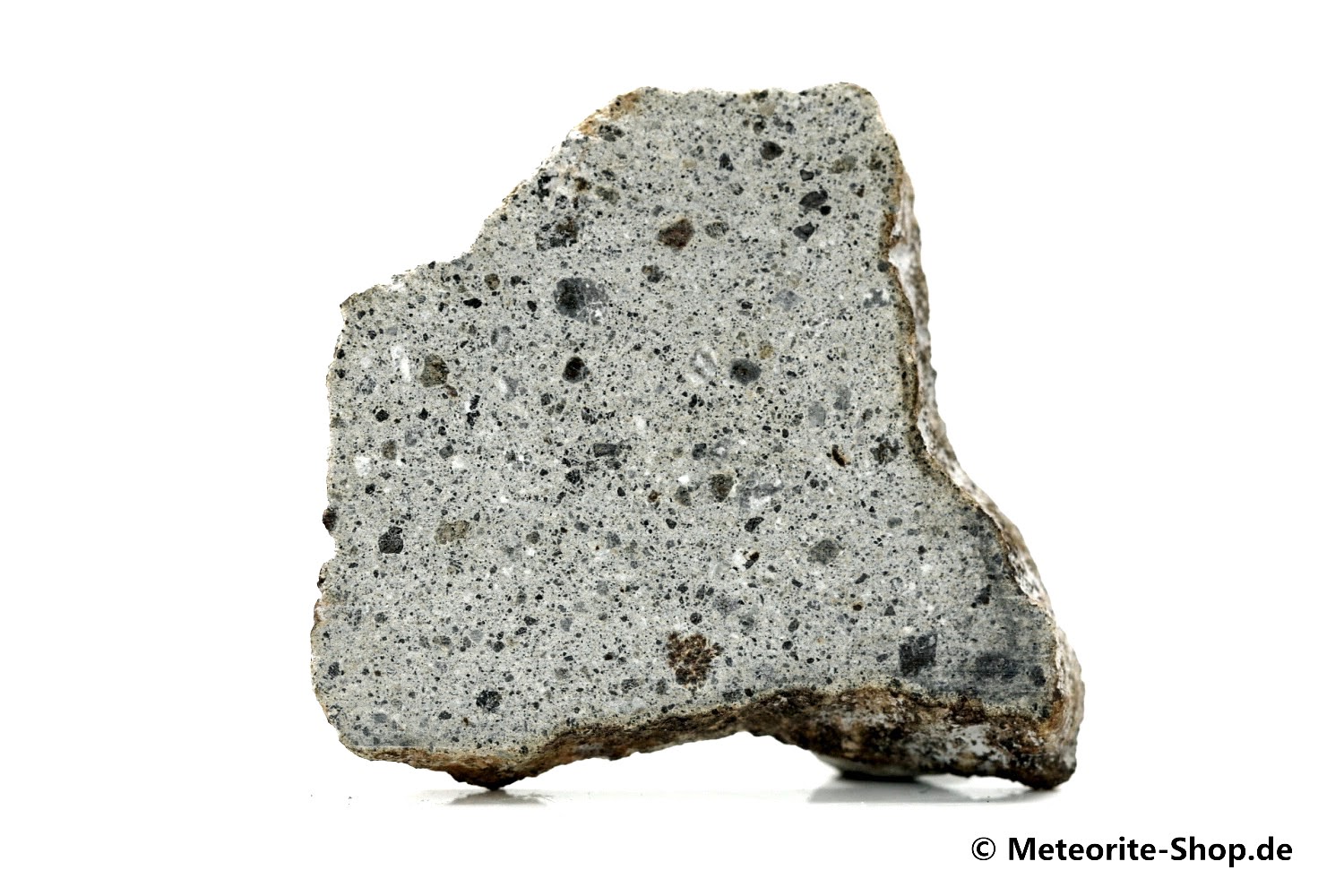 Zagora 011 Meteorit - 11,70 g