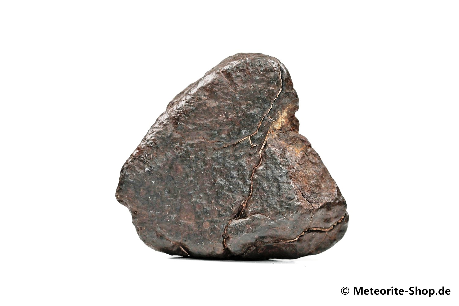 NWA Agadir Meteorit - 55,70 g