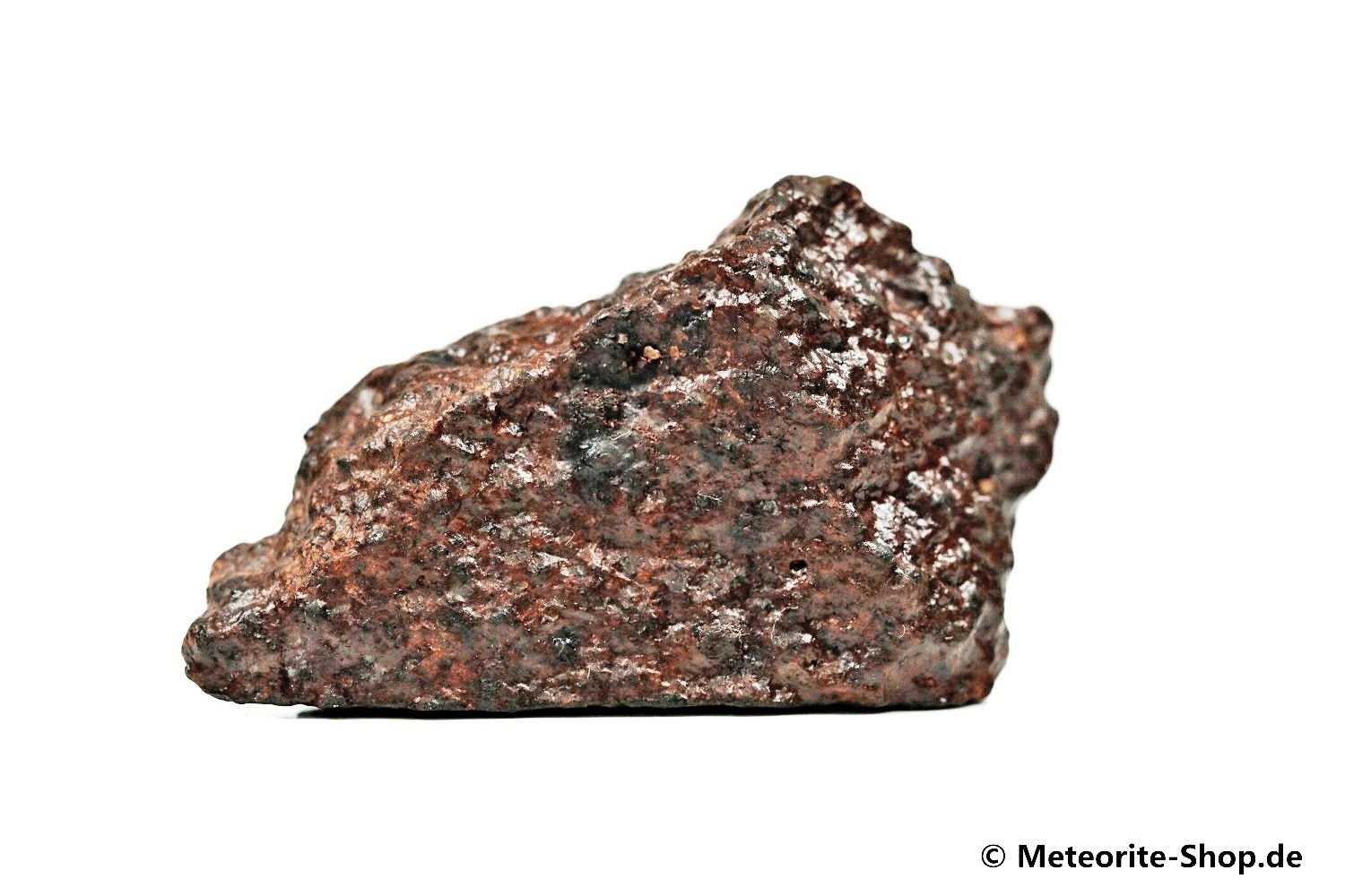 NWA Ouarzazate Meteorit - 37,40 g