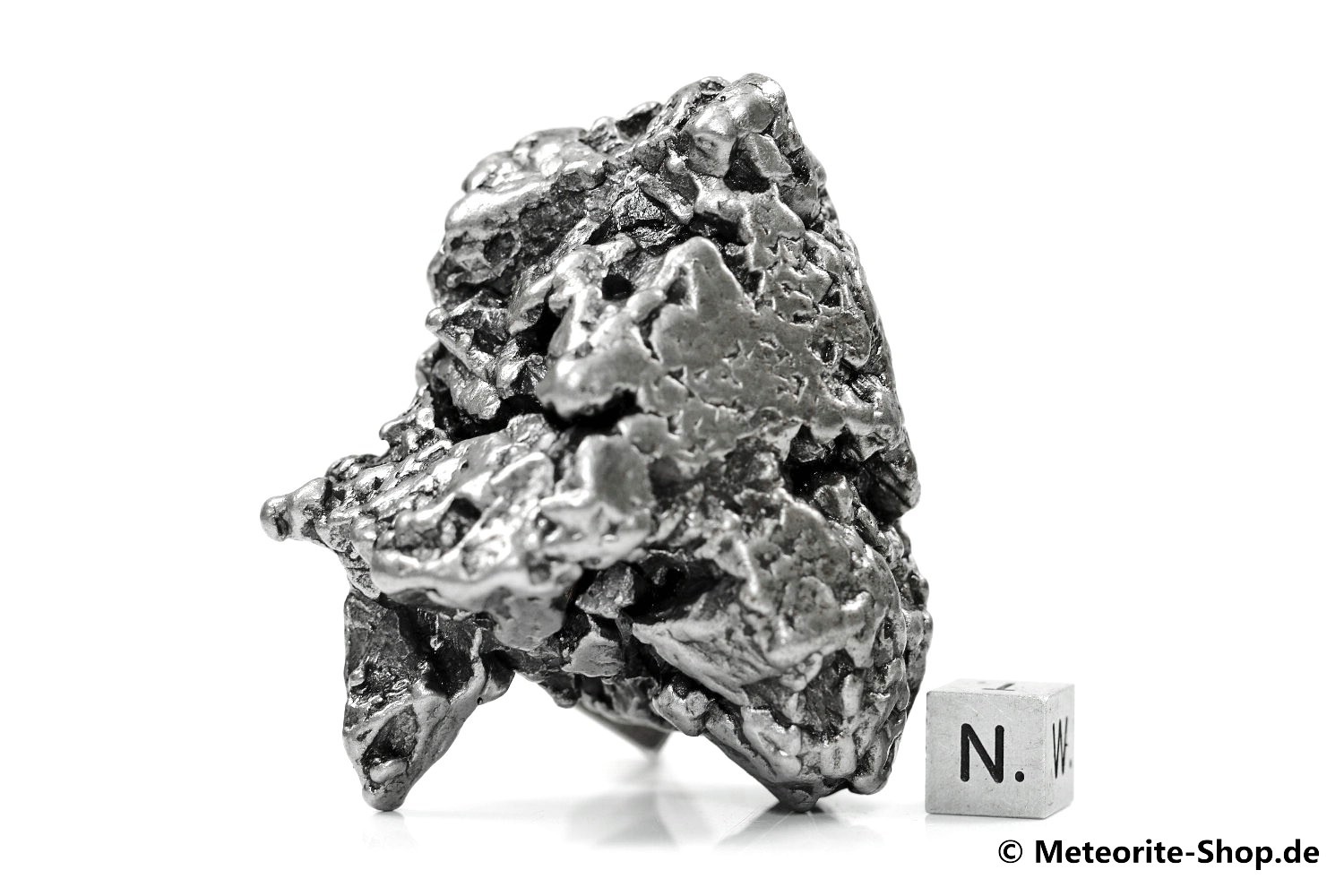 Campo del Cielo Meteorit - 284,50 g