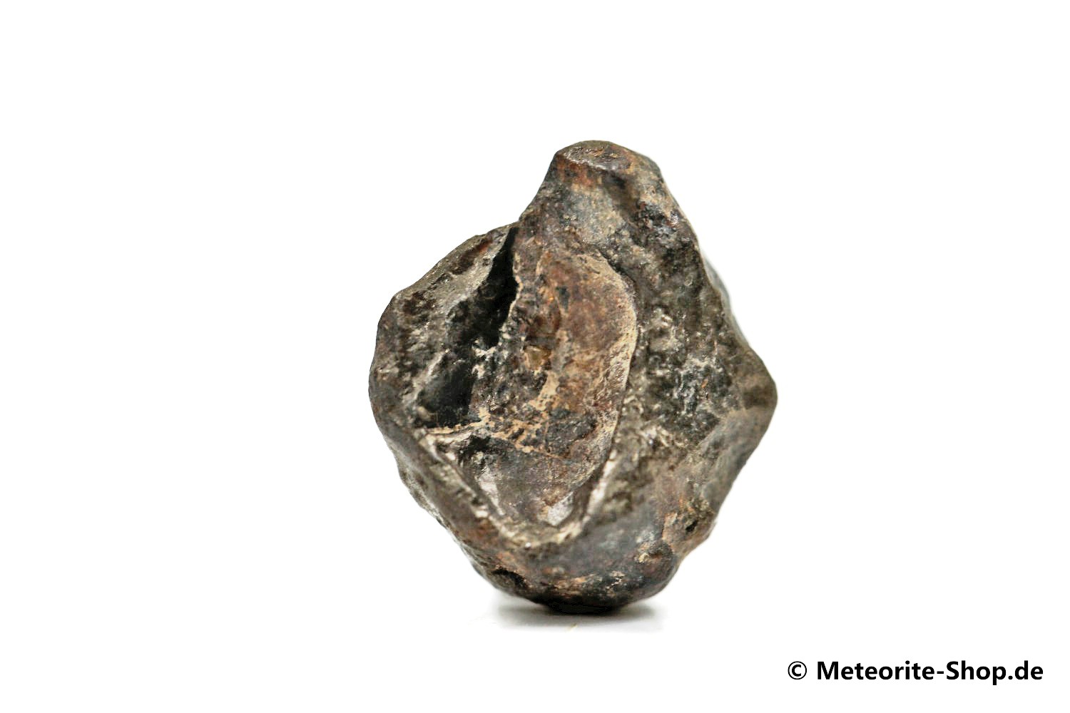 Golden Pallasite Meteorit (gepairt mit NWA 7788) - 1,30 g