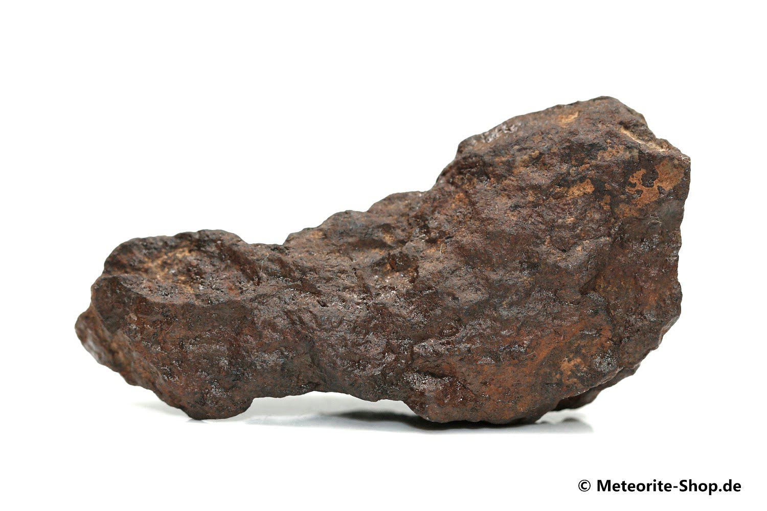NWA Westsahara Meteorit - 39,20 g