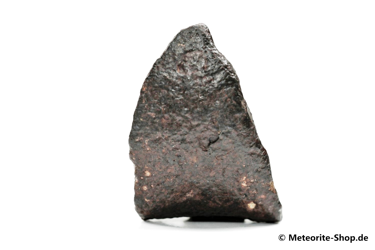 NWA Zagora Meteorit - 64,60 g