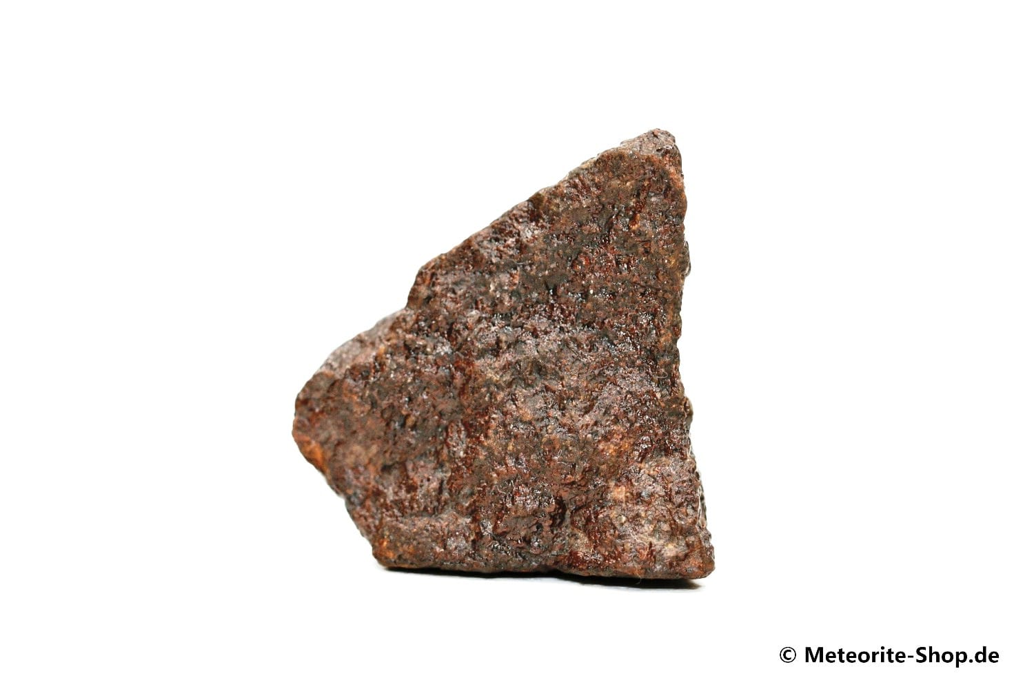 NWA Marokko Meteorit - 42,60 g