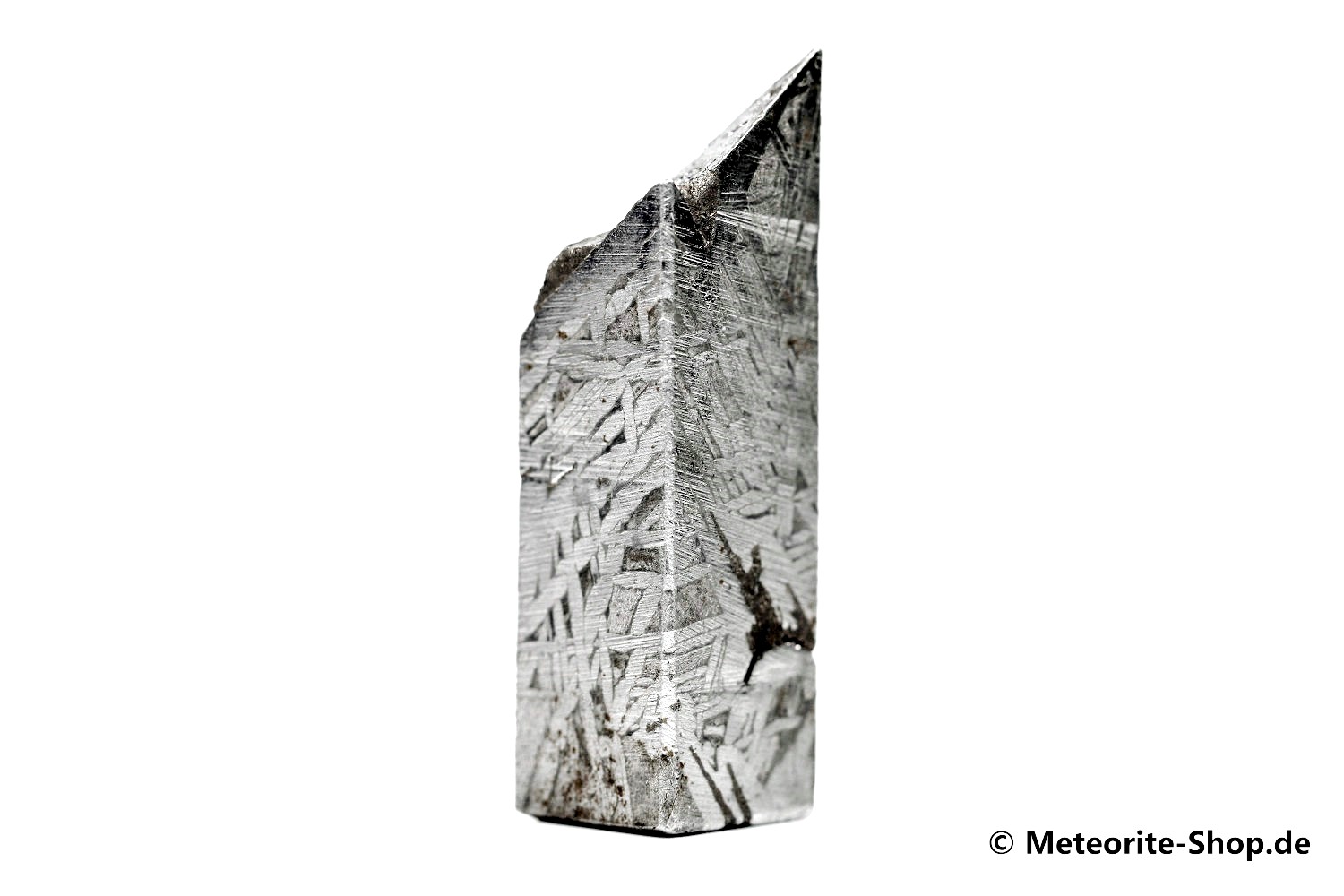 Aletai Meteorit - 30,50 g
