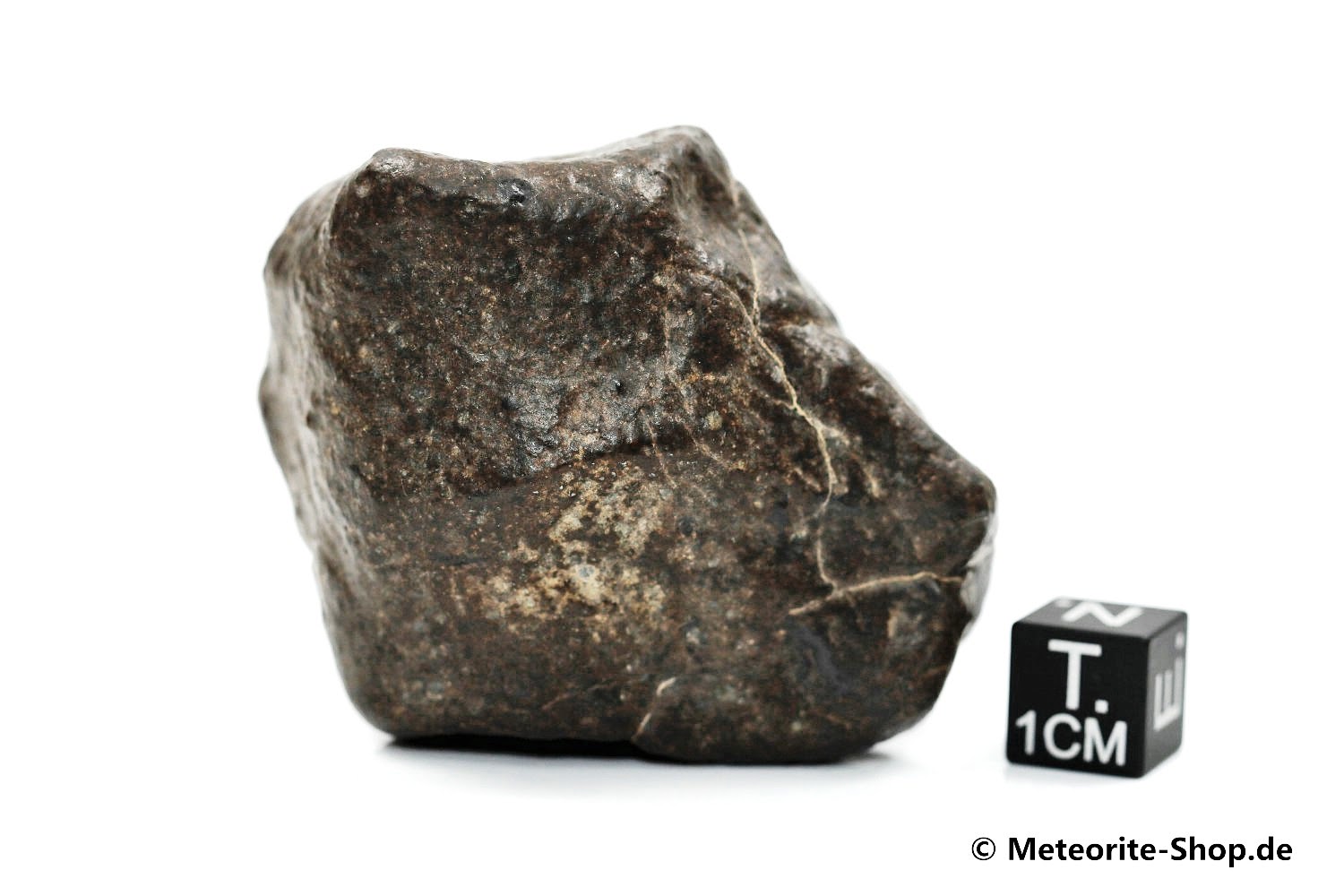NWA Sahara Meteorit - 138,50 g