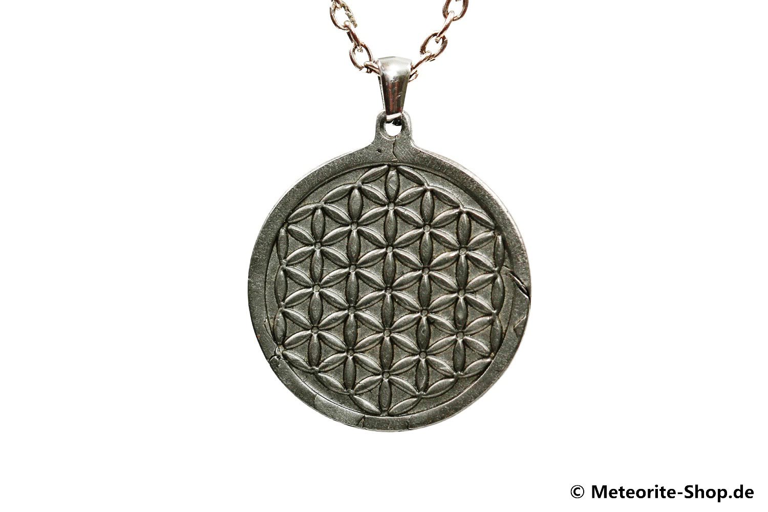 Eisen-Meteorit-Anhänger (Muonionalusta | Scheibe | Blume des Lebens Carved Amulett) - 7,40 g