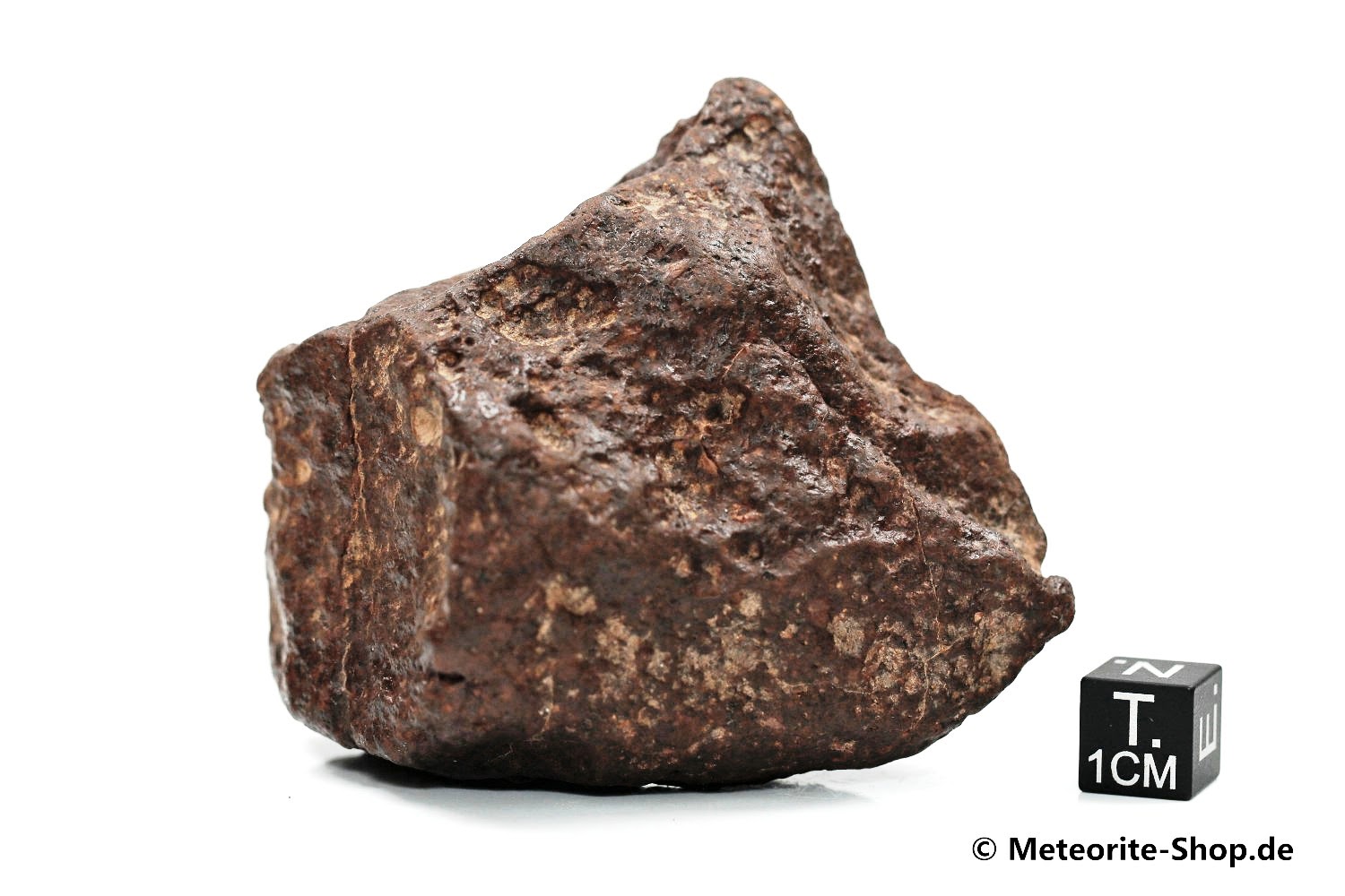 NWA Sahara Meteorit - 196,60 g