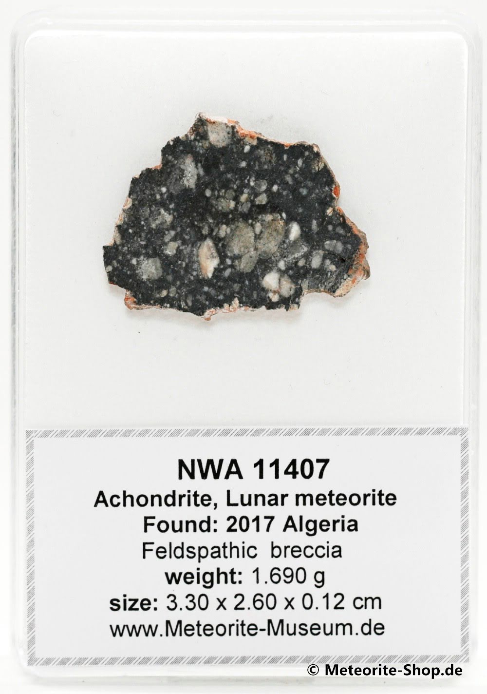 NWA 11407 Mond Meteorit - 1,690 g