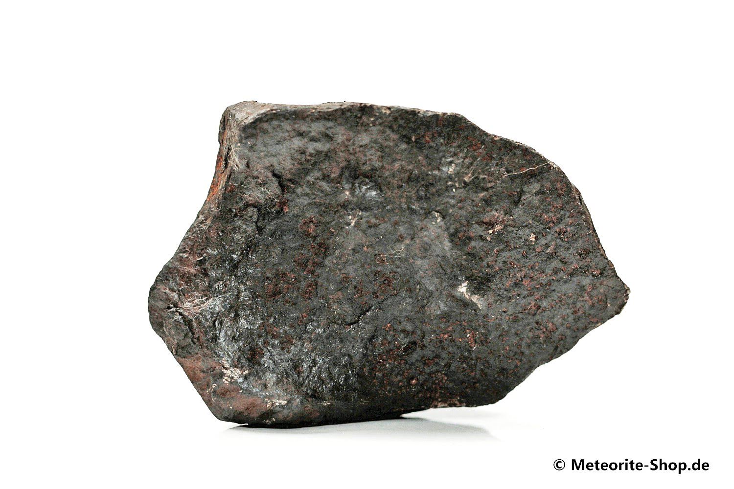 Canyon Diablo Meteorit - 25,80 g