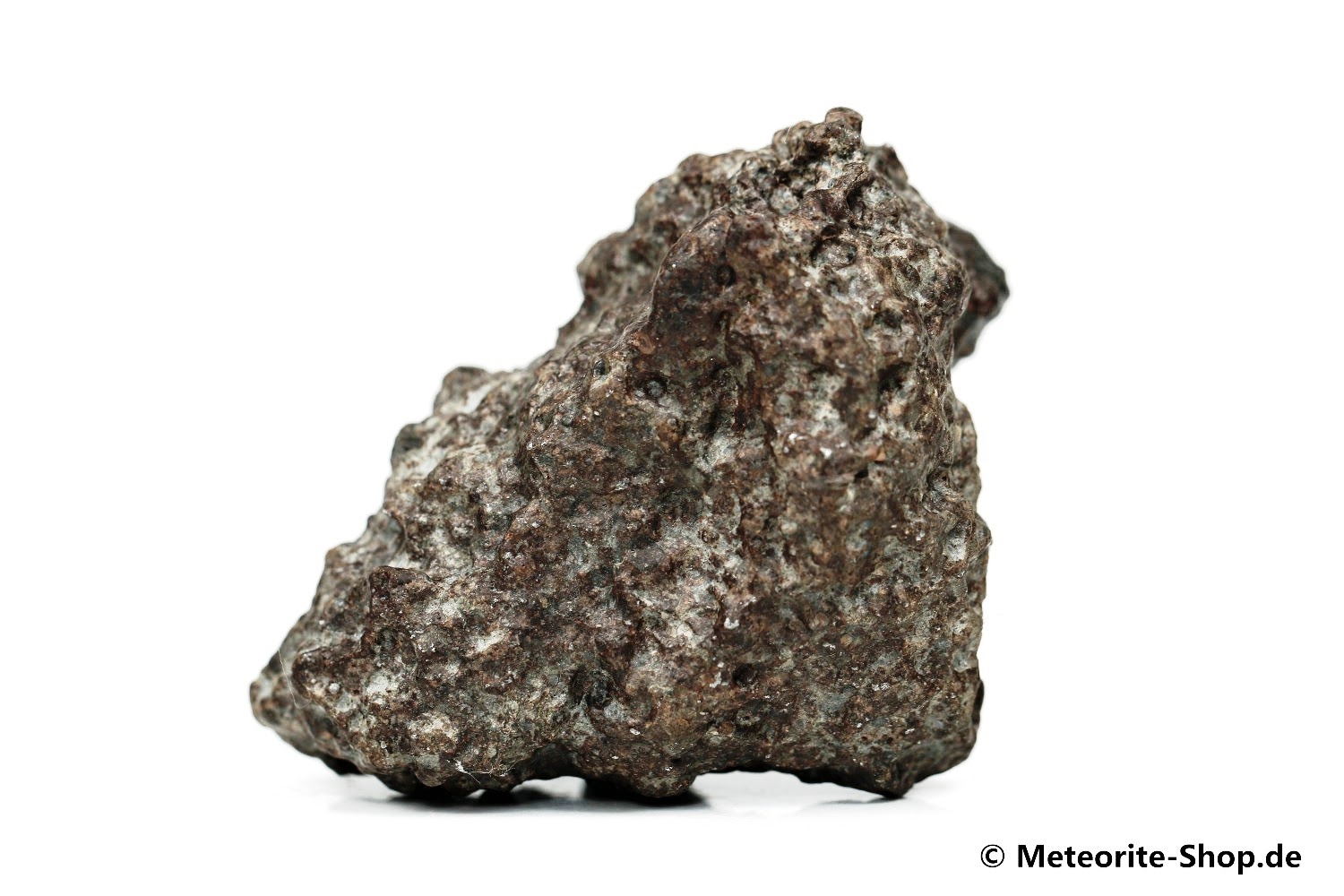 NWA 869 Meteorit - 117,60 g