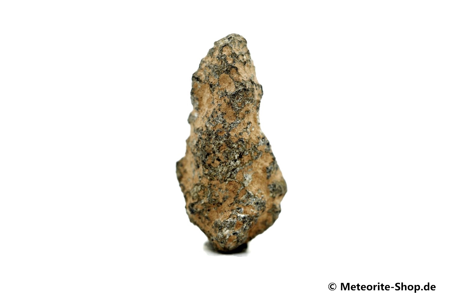 NWA 11407 Mond Meteorit - 1,530 g -