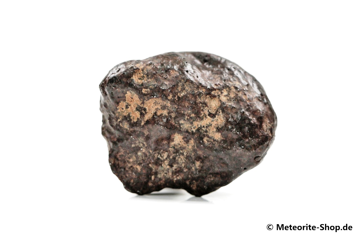 NWA Erfoud Meteorit - 33,60 g