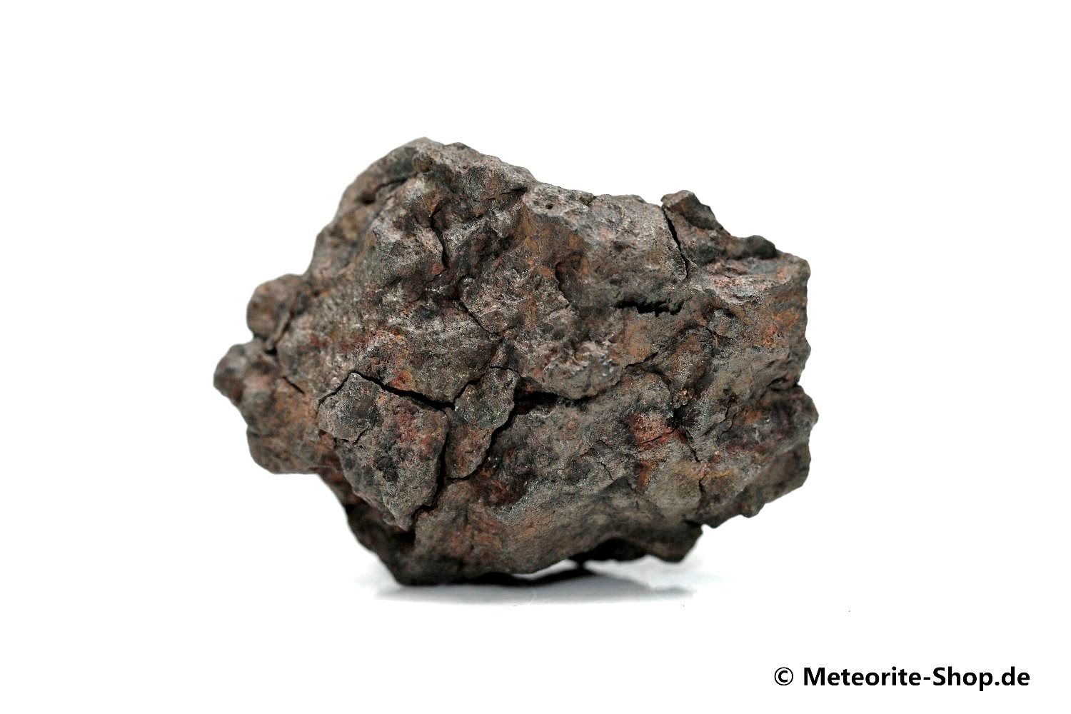 Vaca Muerta Meteorit - 23,50 g