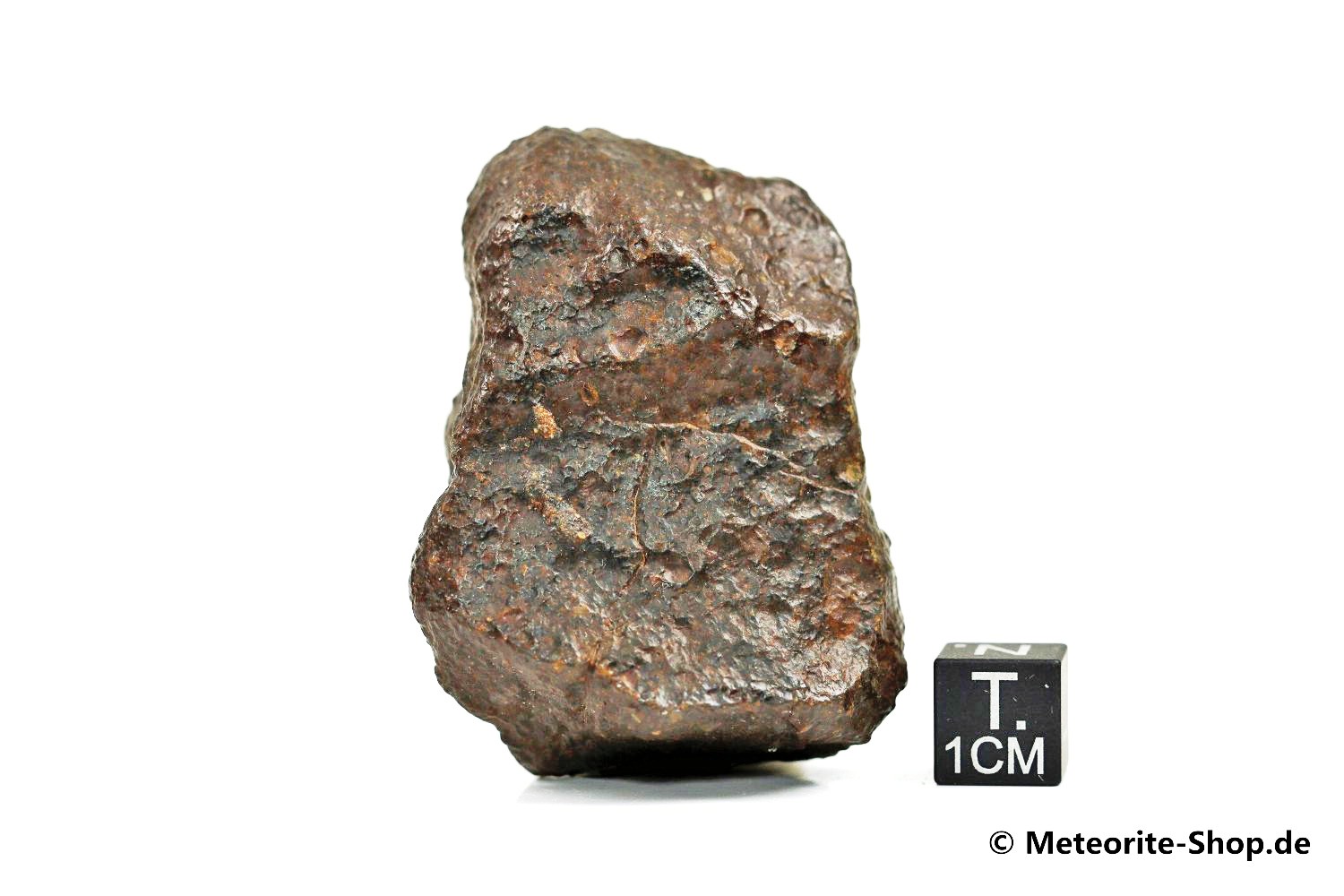 NWA Westsahara Meteorit - 84,80 g