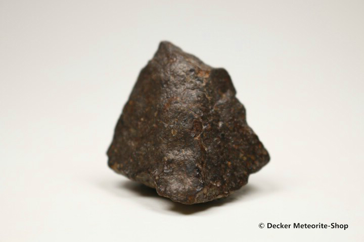 NWA 869 Meteorit - 45,50 g