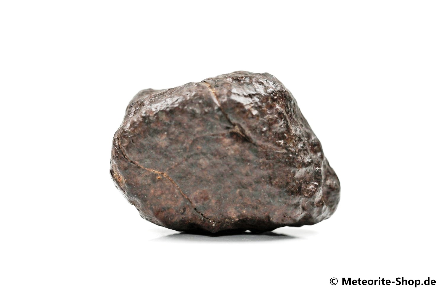 NWA Erfoud Meteorit - 38,30 g