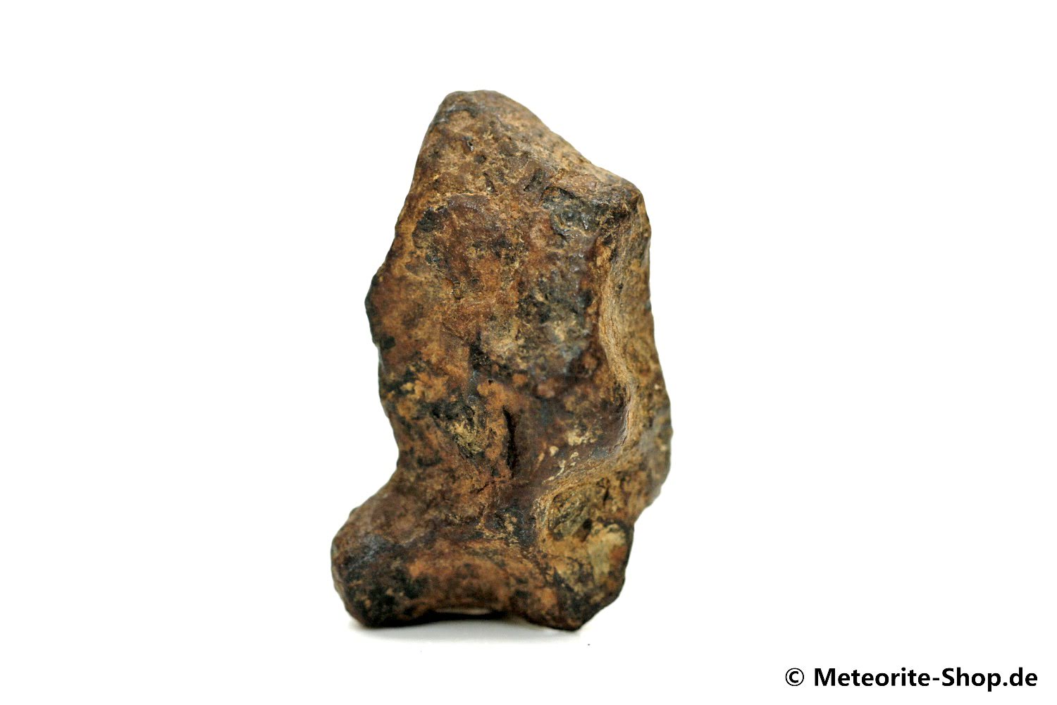 NWA 859 Meteorit - 11,30 g