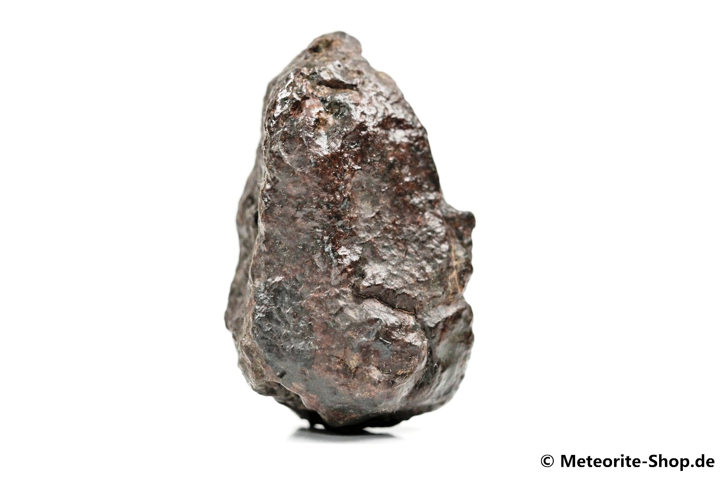 NWA Agadir Meteorit - 42,70 g