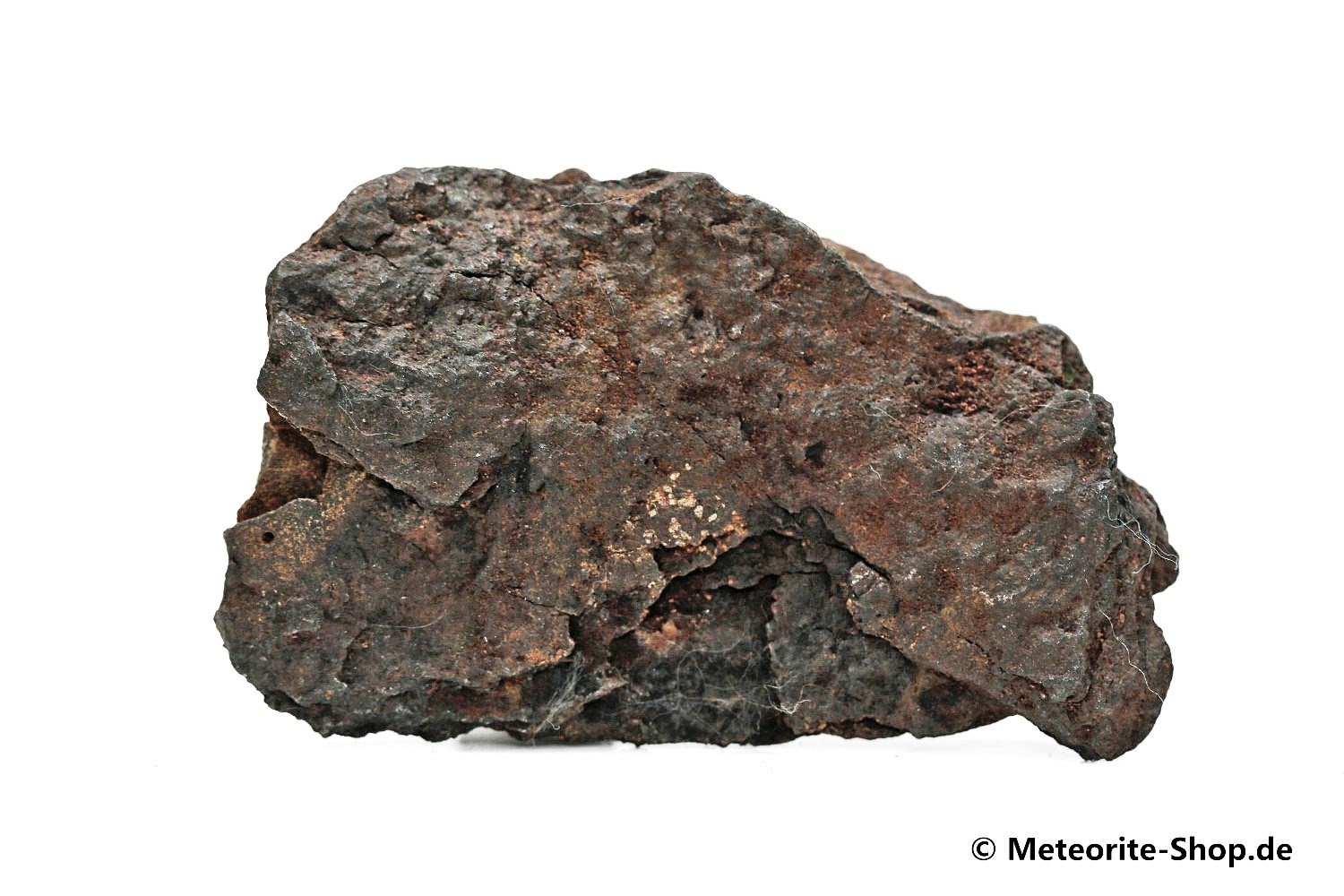 Vaca Muerta Meteorit - 33,80 g