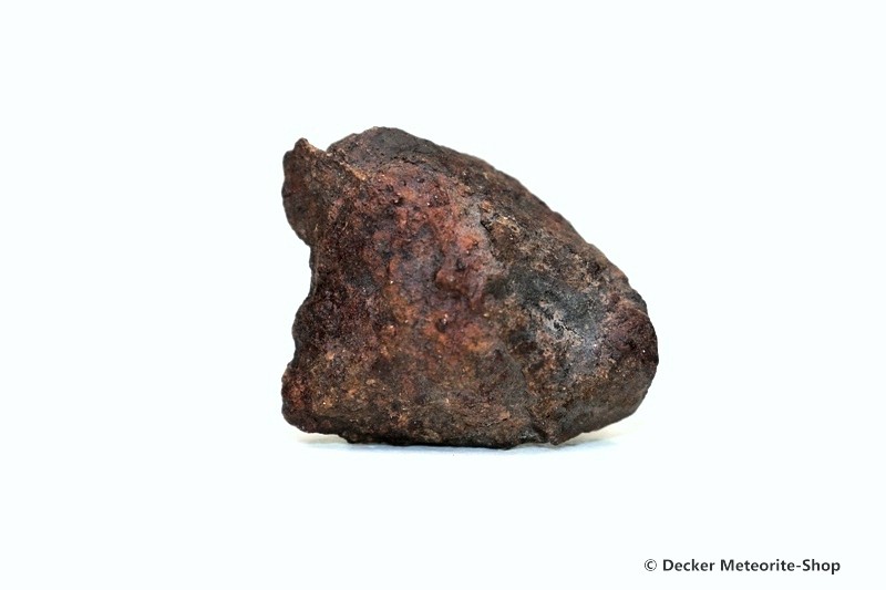 Gold Basin Meteorit - 8,50 g