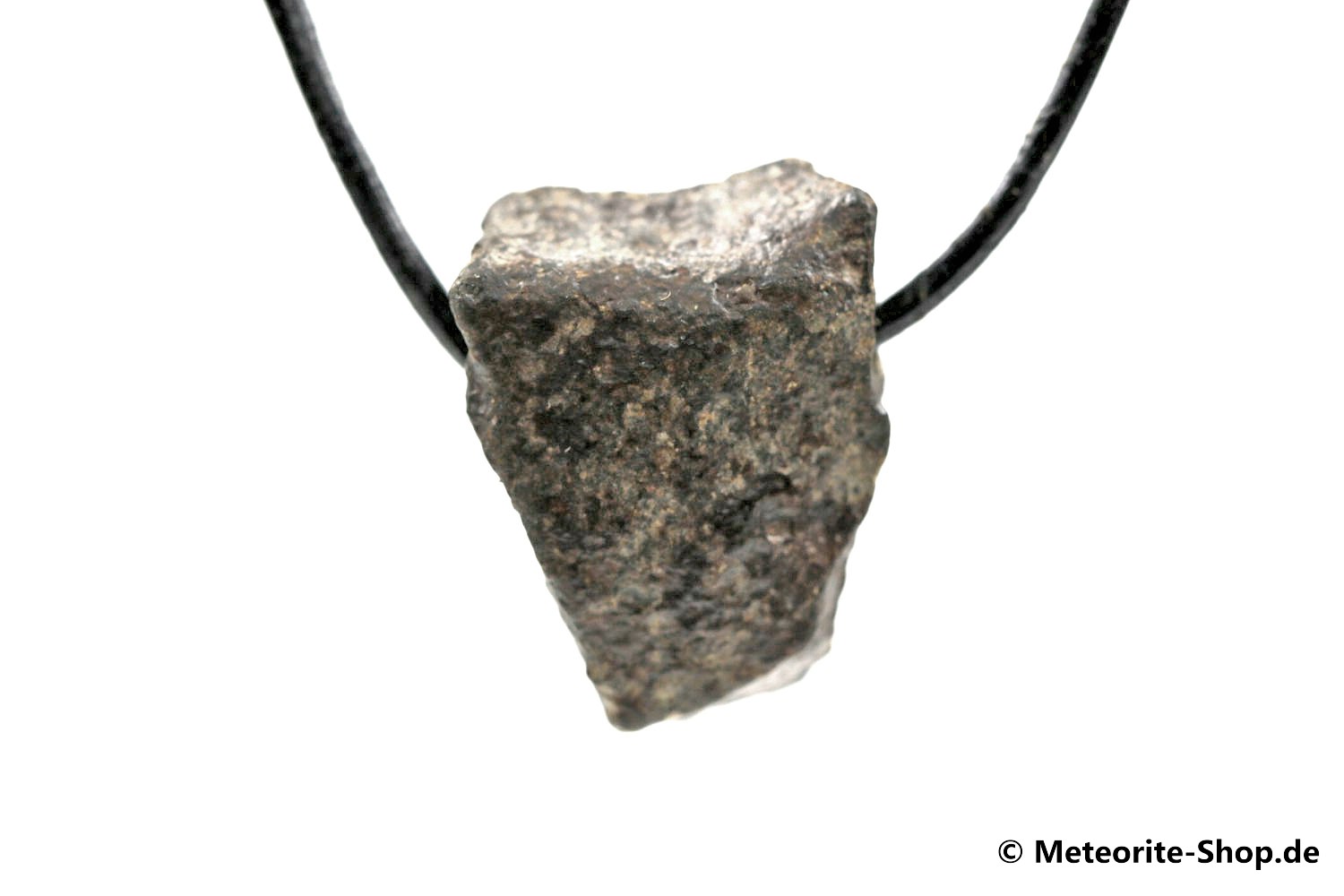 Stein-Meteorit-Anhänger (NWA 869 | Natura) - 8,80 g