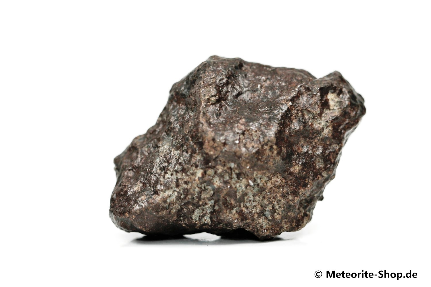 NWA 869 Meteorit - 59,00 g