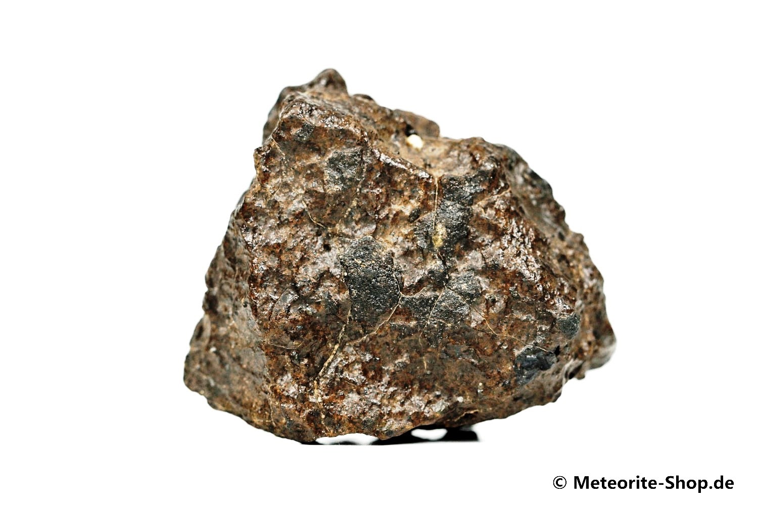 NWA Westsahara Meteorit - 119,20 g